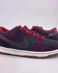 Nike SB Dunk Low "Riot Skateshop" 2025 New Size 9.5