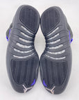 Air Jordan 12 Retro "Dark Concord" 2020 Used Size 9.5