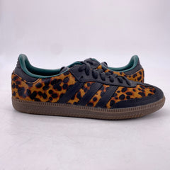 Latest Collection Image