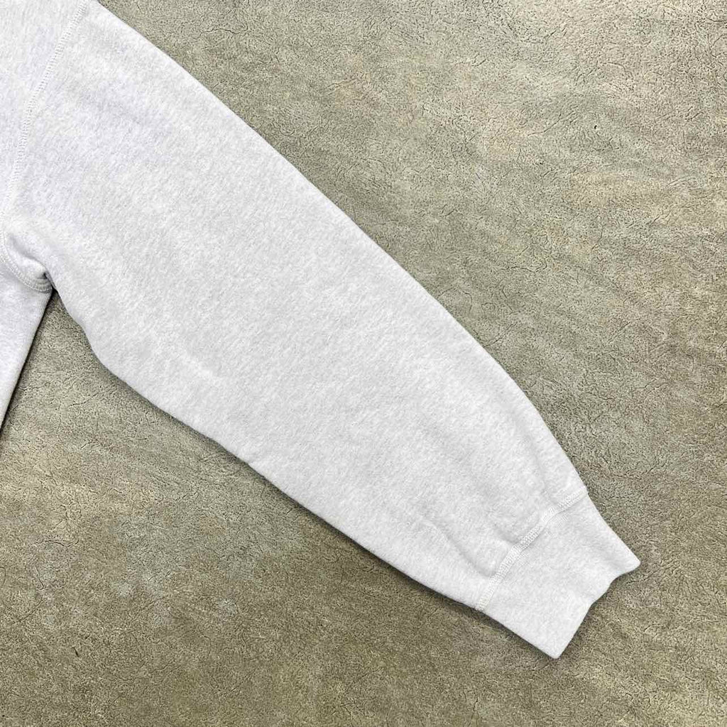 Supreme Hoodie "APPLE" Ash Used Size L