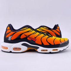 Latest Collection Image
