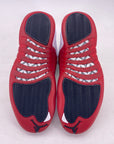 Air Jordan 12 Retro "Cherry" 2023 New Size 9.5