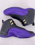 Air Jordan 12 Retro "Field Purple" 2023 Used Size 9