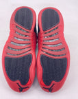 Air Jordan 12 Retro "Flu Game" 2025 New Size 7