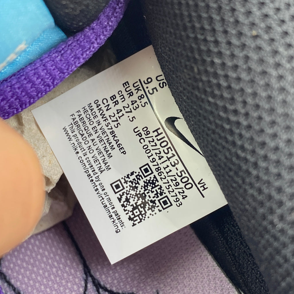 Nike SB Dunk Low "Hayley Wilson" 2025 New Size 9.5