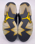 Air Jordan 6 Retro "Brazil" 2014 Used Size 10