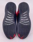 Air Jordan 12 Retro "Reverse Flu Game" 2020 Used Size 9.5