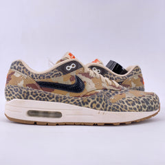 Latest Collection Image