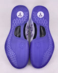 Nike Kobe 8 "Court Purple" 2024 New Size 12