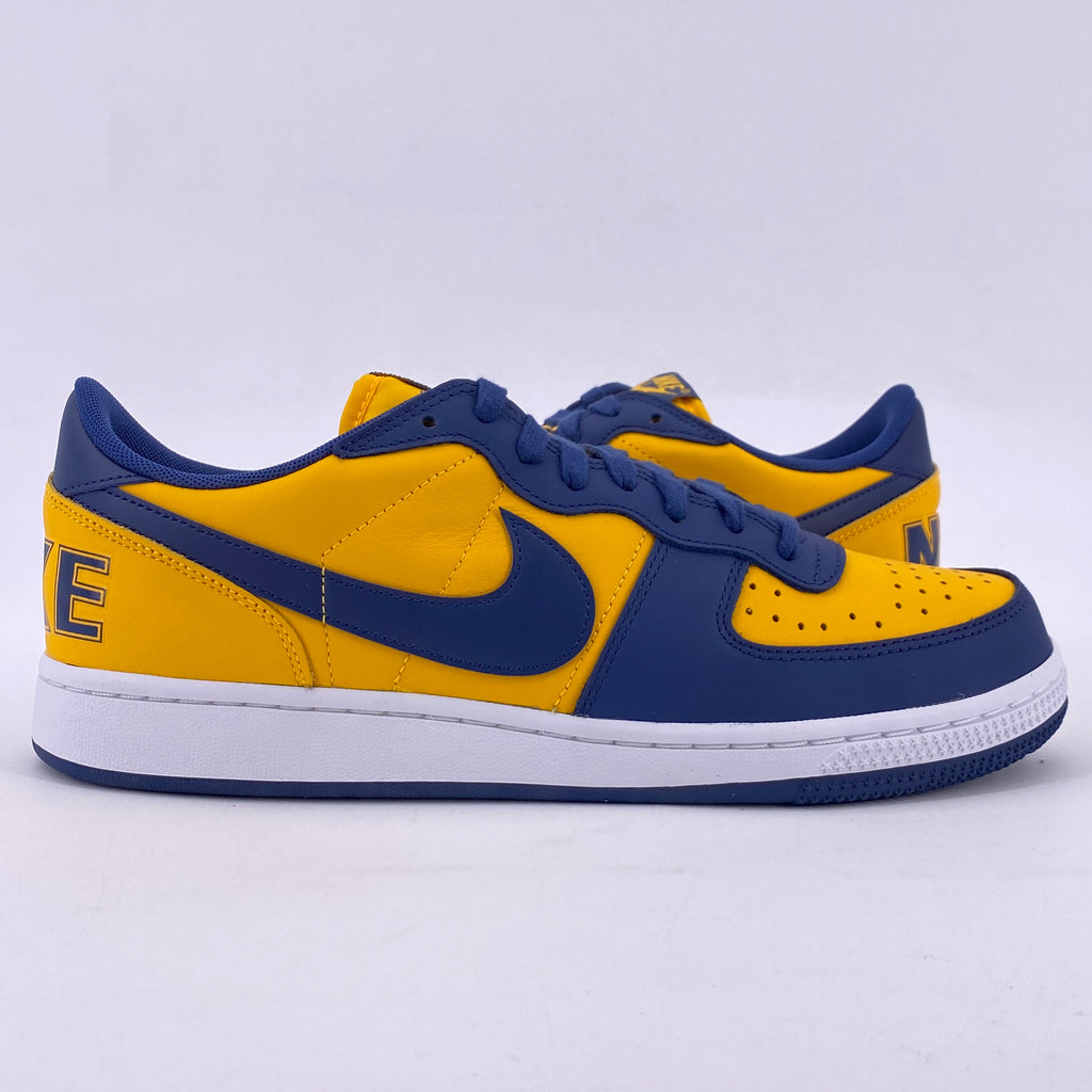 Nike Terminator Low "Michigan" 2023 New Size 10