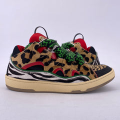 Latest Collection Image