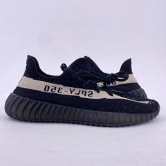 Latest Collection Image
