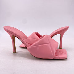Latest Collection Image
