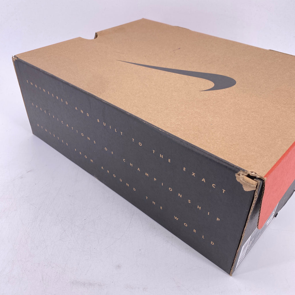 Air Jordan 12 Retro "Flu Game" 2025 Used Size 9.5