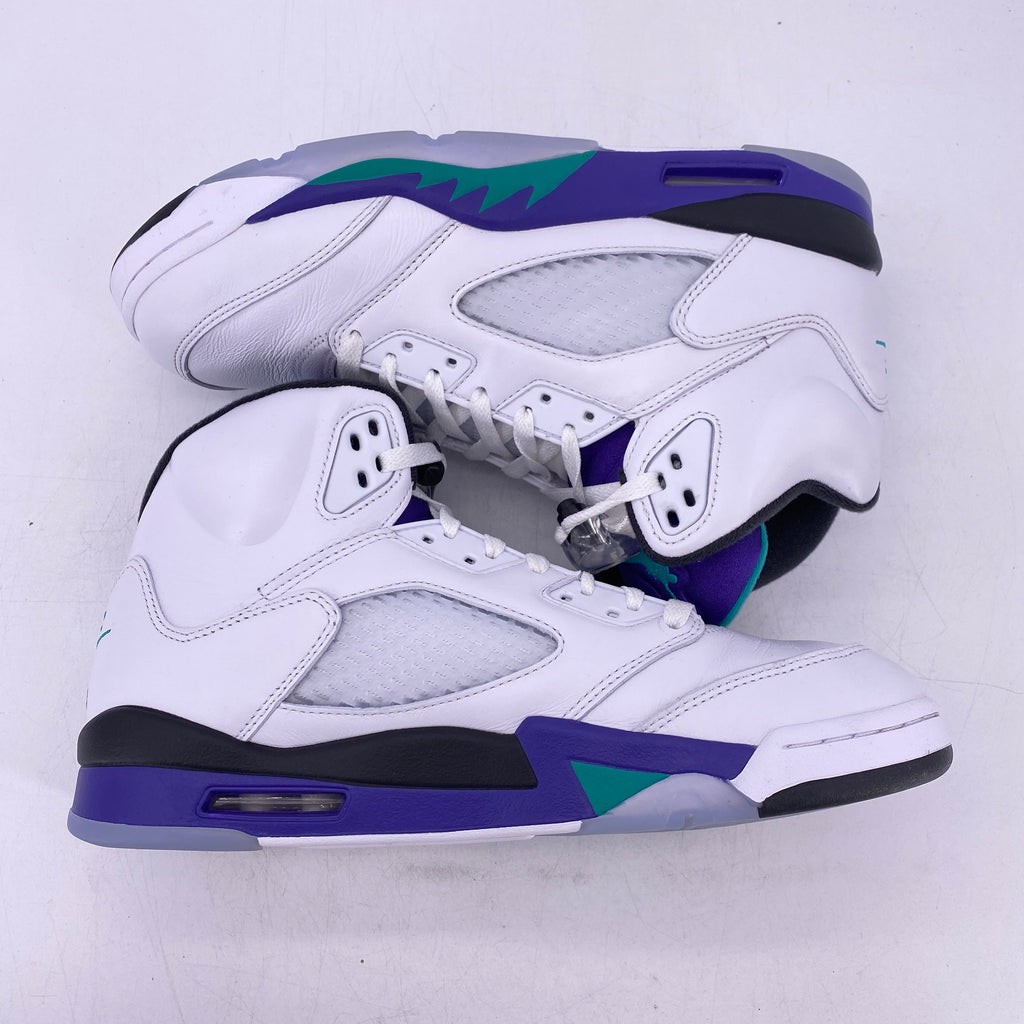Air Jordan 5 Retro "Grape" 2025 Used Size 10