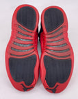 Air corps jordan 12 Retro "Flu Game" 2016 Used Size 8.5