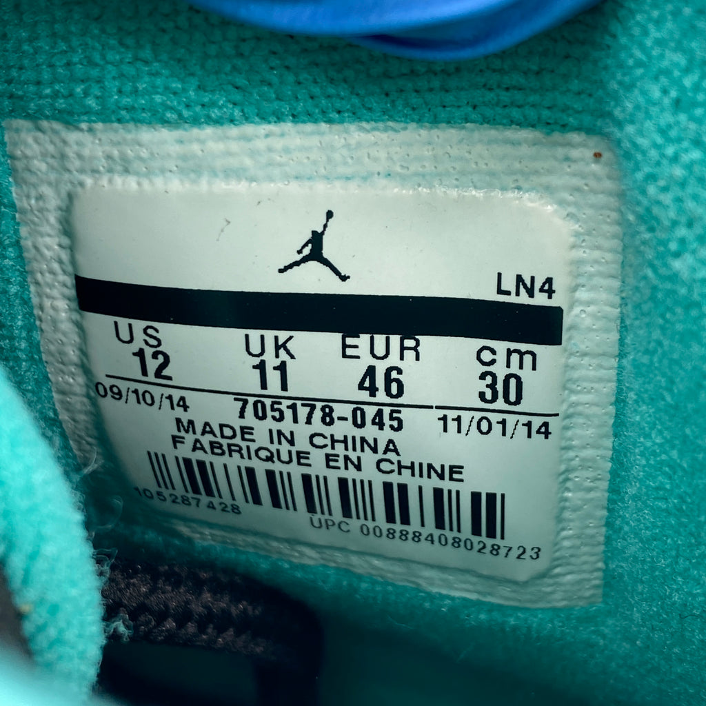 Air Jordan 10 Retro "Lady Liberty" 2015 New Size 12