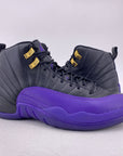 Air Jordan 12 Retro "Field Purple" 2023 Used Size 9