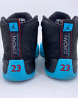 Air Jordan 12 Retro "Gamma Blue" 2013 Used Size 10