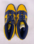 Nike Dunk High "Michigan" 2003 Used Size 11