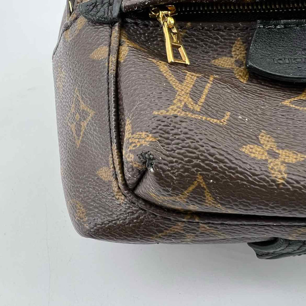 Louis Vuitton Backpack