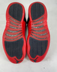 Air Jordan 12 Retro "Flu Game" 2016 Used Size 8.5