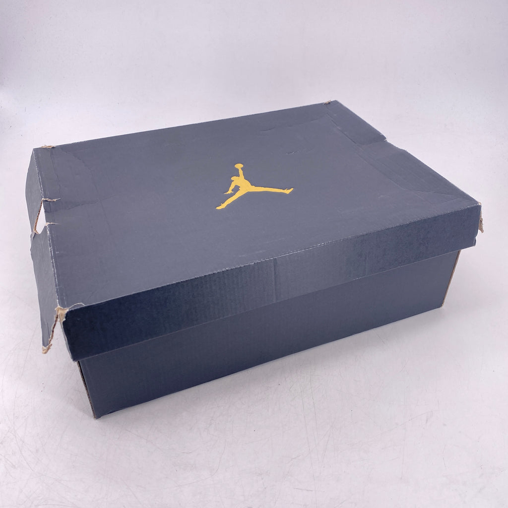 Air Jordan 10 Retro "Rio" 2016 Used Size 9.5