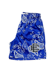 Eric Emanuel Mesh Shorts "BLUE PAISLEY" Black New Size L