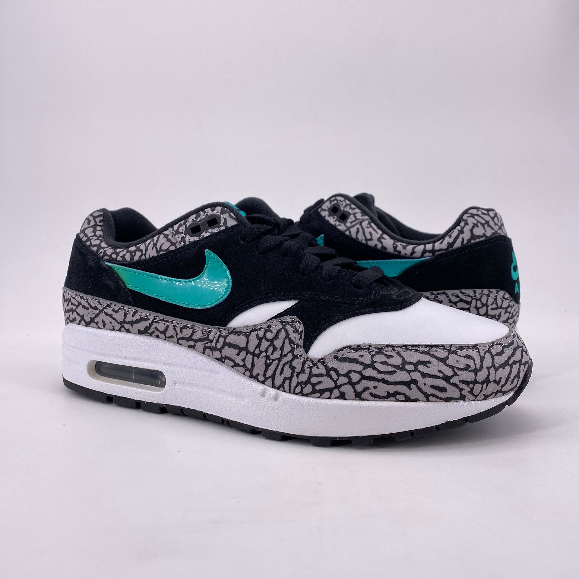 Nike Air Max 1 