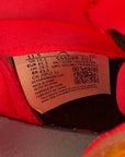 Air Jordan 1 Retro High OG "BIO HACK" 2020 Used Size 11.5